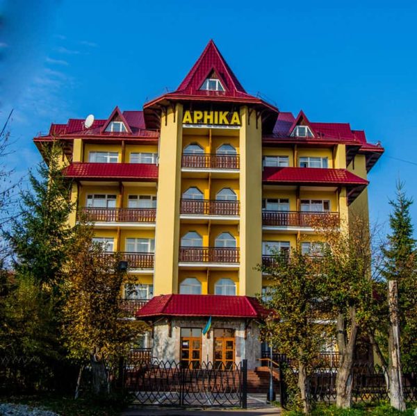 Арніка Трускавець Арника Arnika